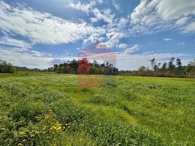 Terreno para Venda em Lanhas Foto 6