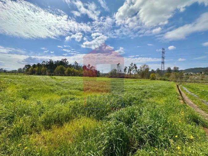 Terreno para Venda em Lanhas Foto 7