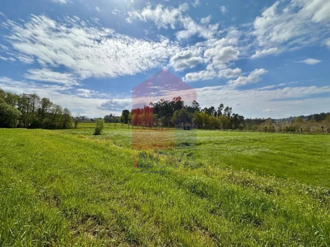 Terreno para Venda em Lanhas Foto 17