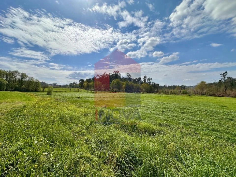 Terreno para Venda em Lanhas Foto 24