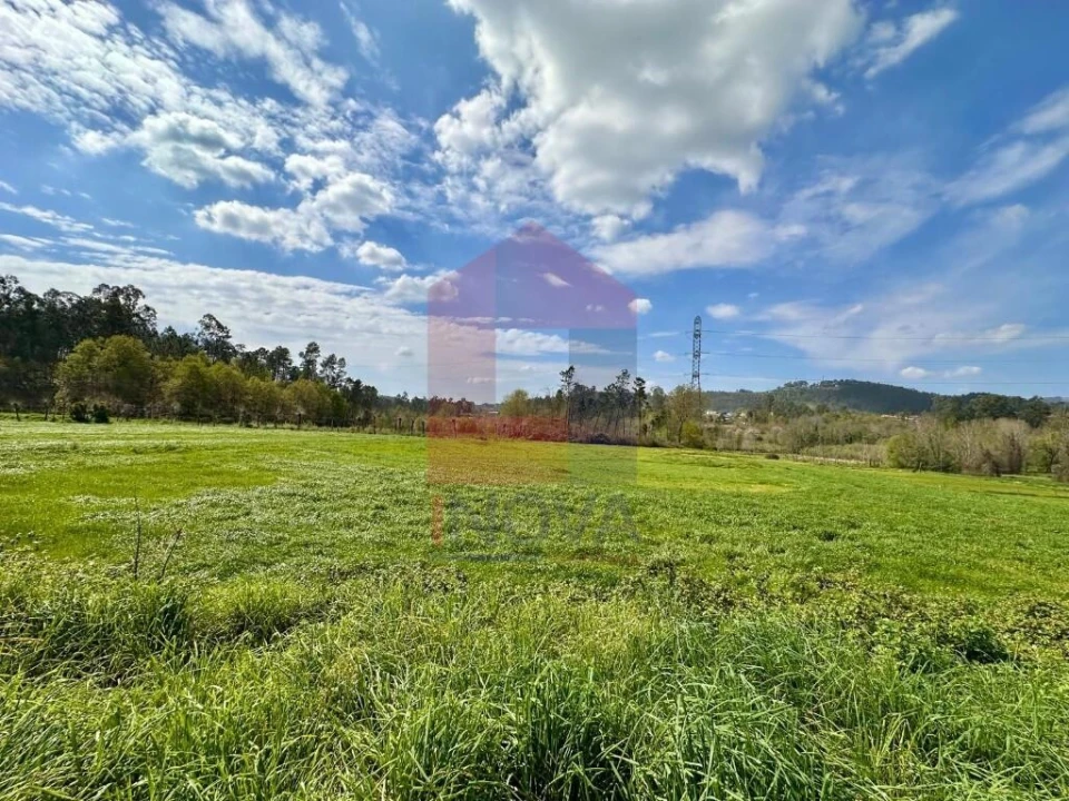 Terreno para Venda em Lanhas Foto 9