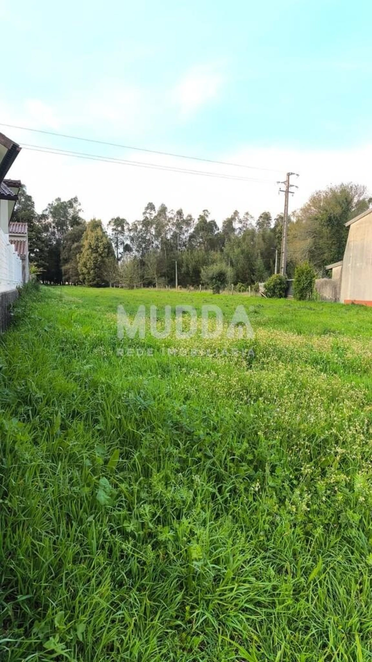 Terreno para Venda em Albergaria-A-Velha e Valmaior Foto 9