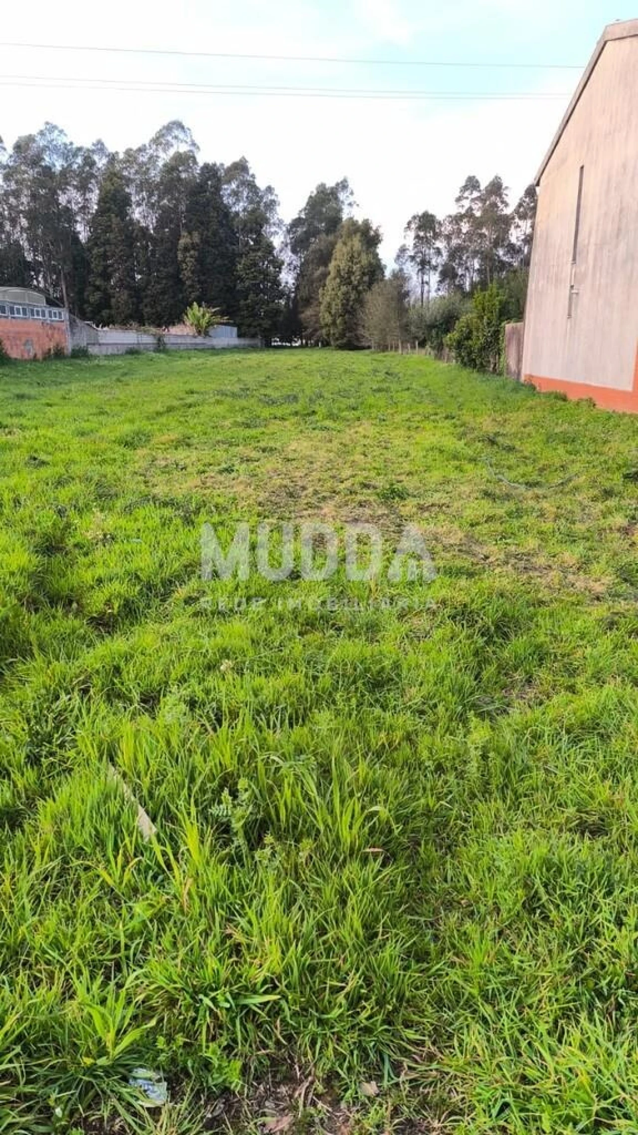 Terreno para Venda em Albergaria-A-Velha e Valmaior Foto 8