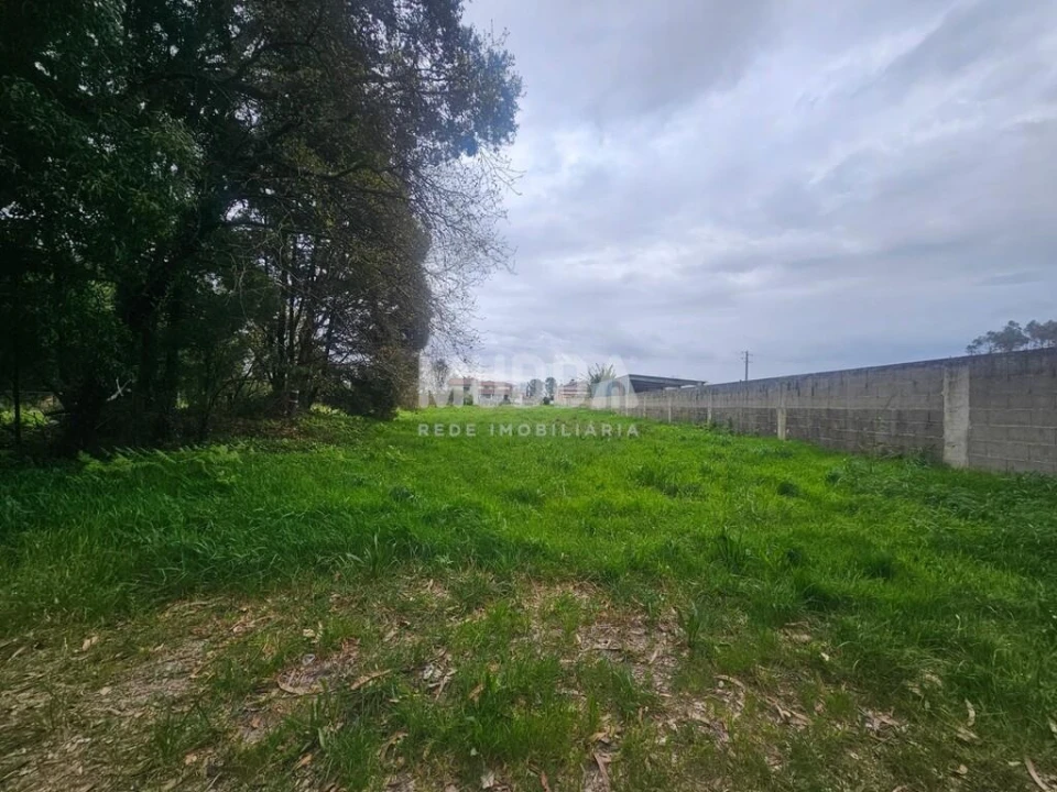 Terreno para Venda em Albergaria-A-Velha e Valmaior Foto 6