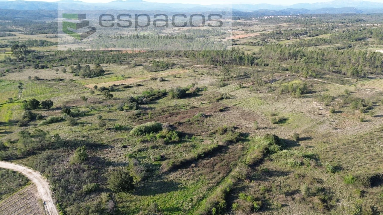 Terreno Agricola ou Rústico para Venda em Sarzedas Foto 1