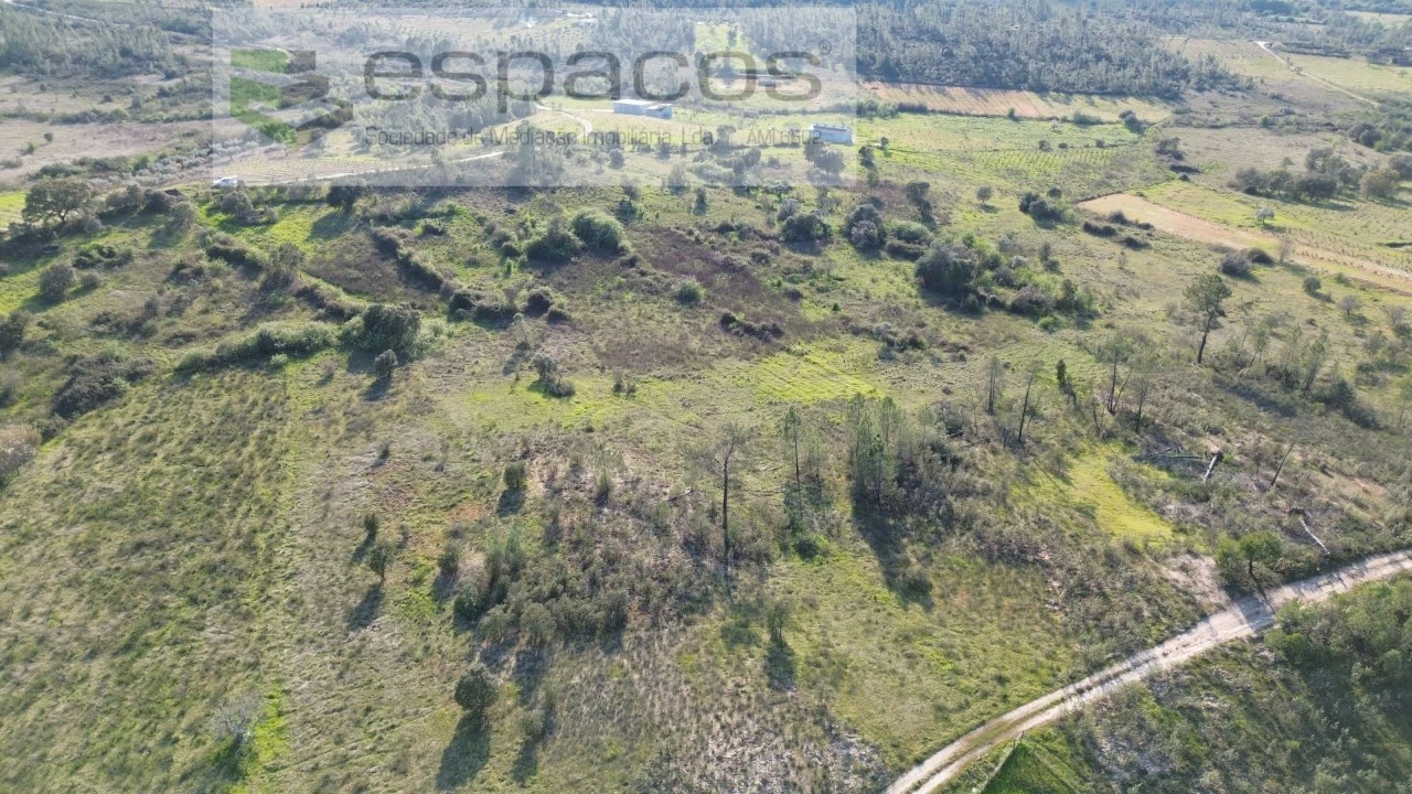 Terreno Agricola ou Rústico para Venda em Sarzedas Foto 2