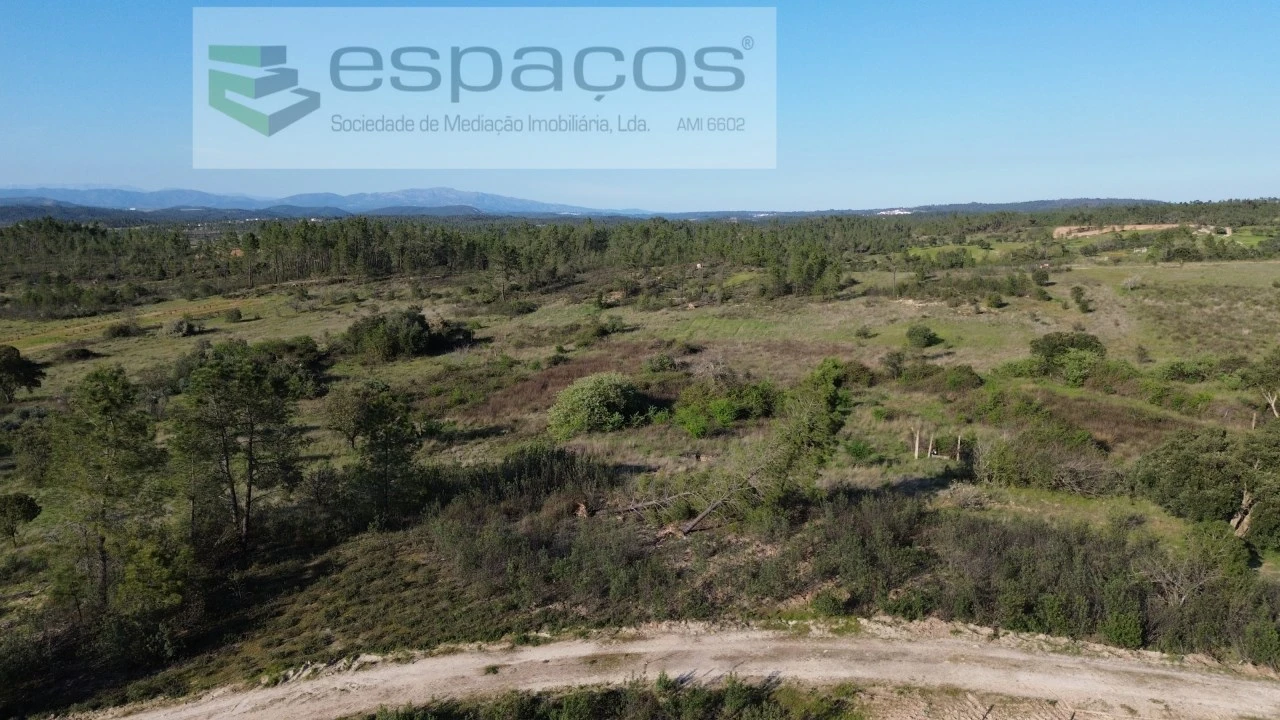 Terreno Agricola ou Rústico para Venda em Sarzedas Foto 3