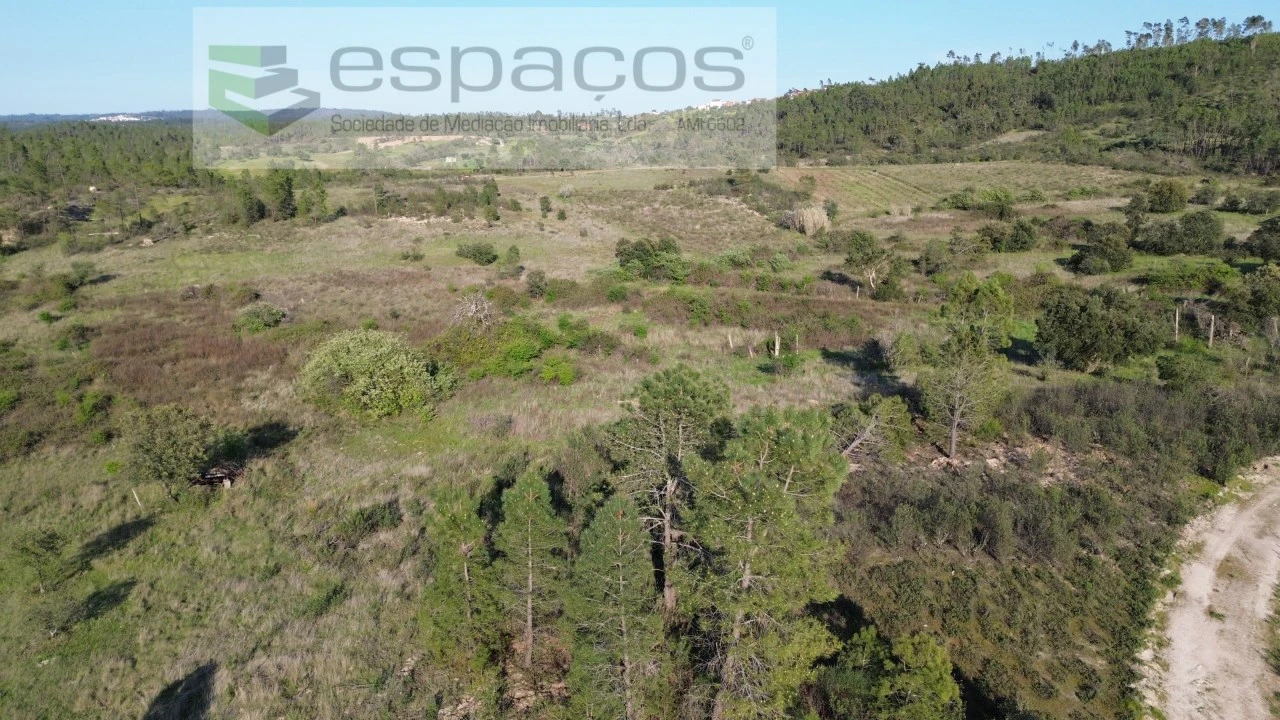 Terreno Agricola ou Rústico para Venda em Sarzedas Foto 4