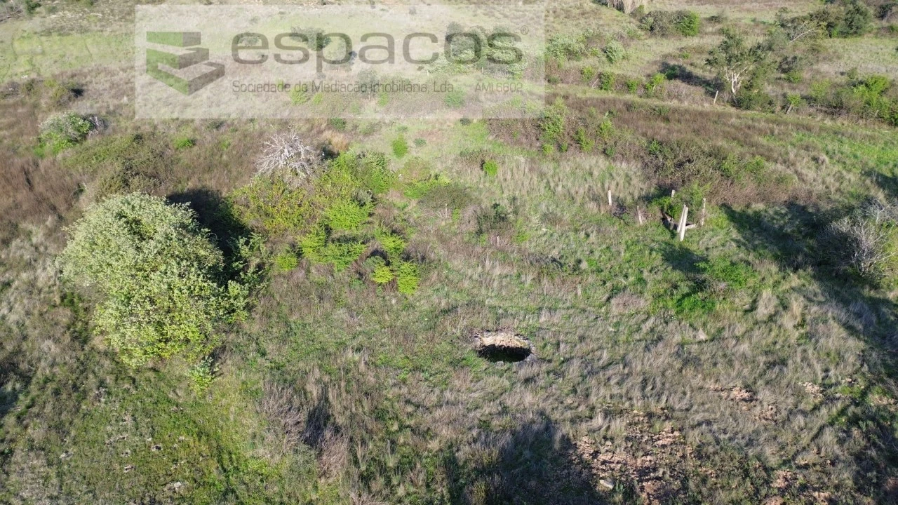 Terreno Agricola ou Rústico para Venda em Sarzedas Foto 5