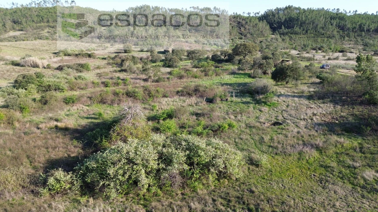 Terreno Agricola ou Rústico para Venda em Sarzedas Foto 6