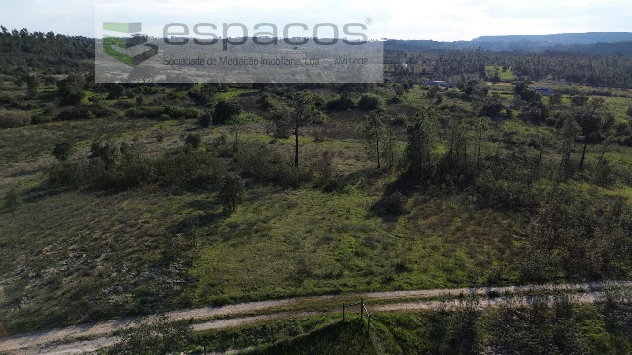 Terreno Agricola ou Rústico para Venda em Sarzedas Foto 7