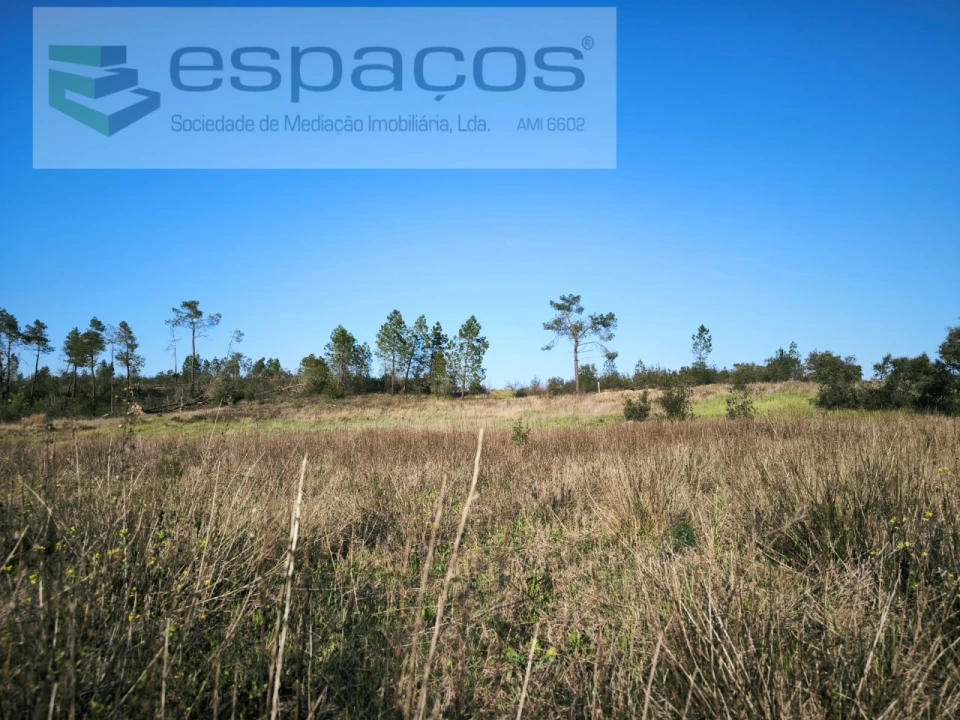 Terreno Agricola ou Rústico para Venda em Sarzedas Foto 8