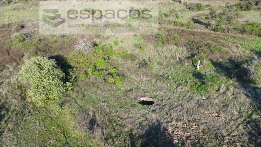Terreno Agricola ou Rústico para Venda em Sarzedas Foto 5