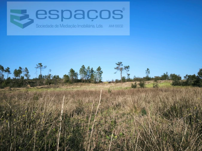 Terreno Agricola ou Rústico para Venda em Sarzedas Foto 8