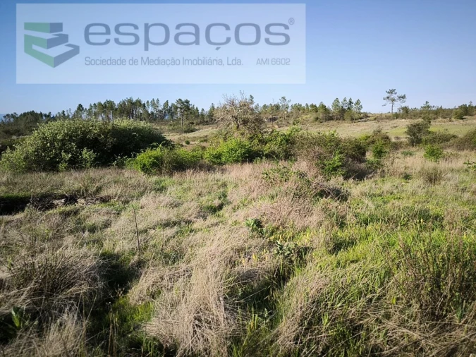 Terreno Agricola ou Rústico para Venda em Sarzedas Foto 9