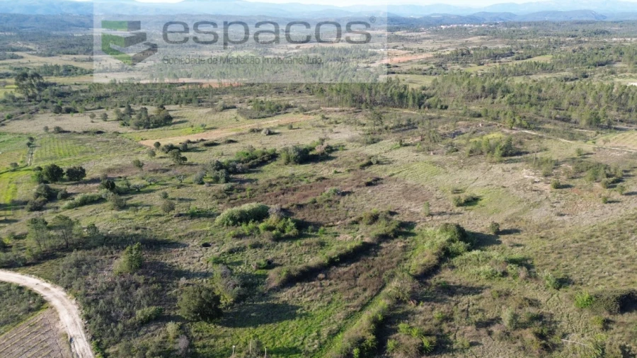 Terreno Agricola ou Rústico para Venda em Sarzedas