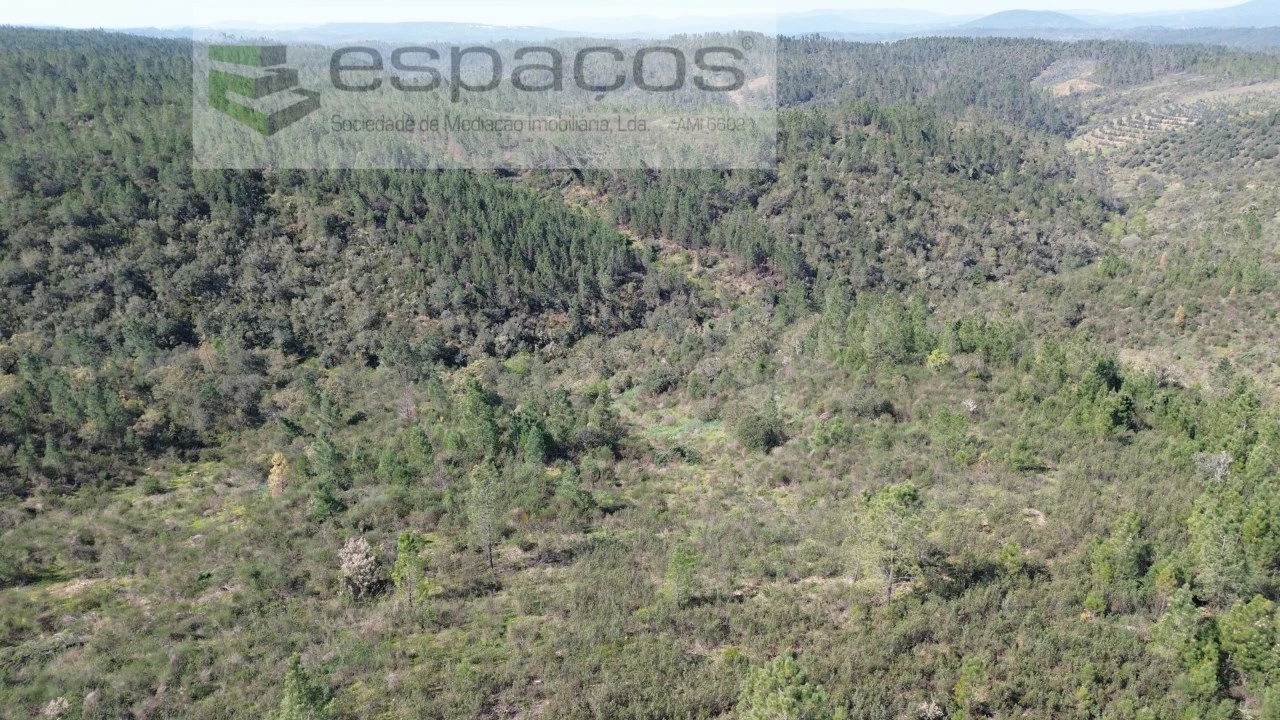 Terreno Agricola ou Rústico para Venda em Salgueiro do Campo Foto 4
