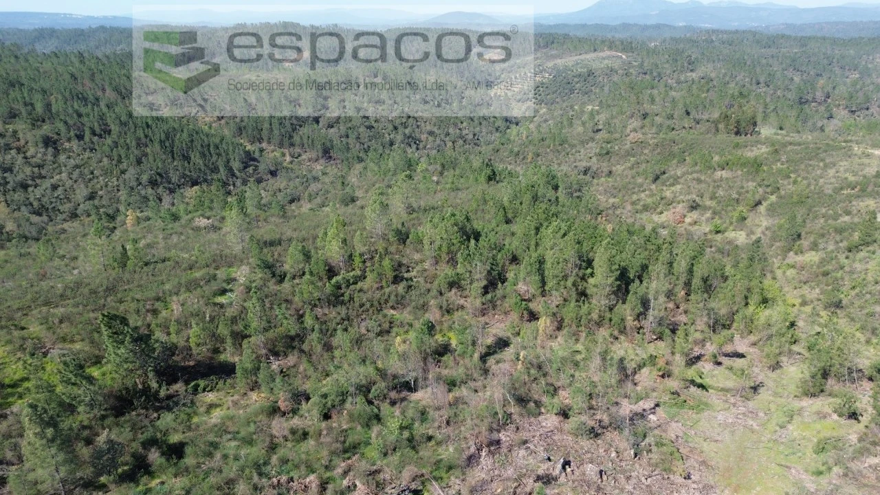 Terreno Agricola ou Rústico para Venda em Salgueiro do Campo Foto 5