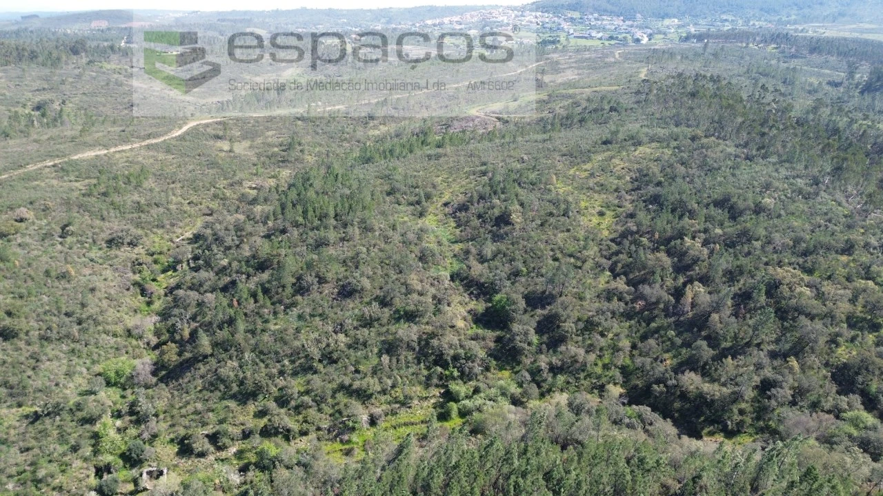 Terreno Agricola ou Rústico para Venda em Salgueiro do Campo Foto 1