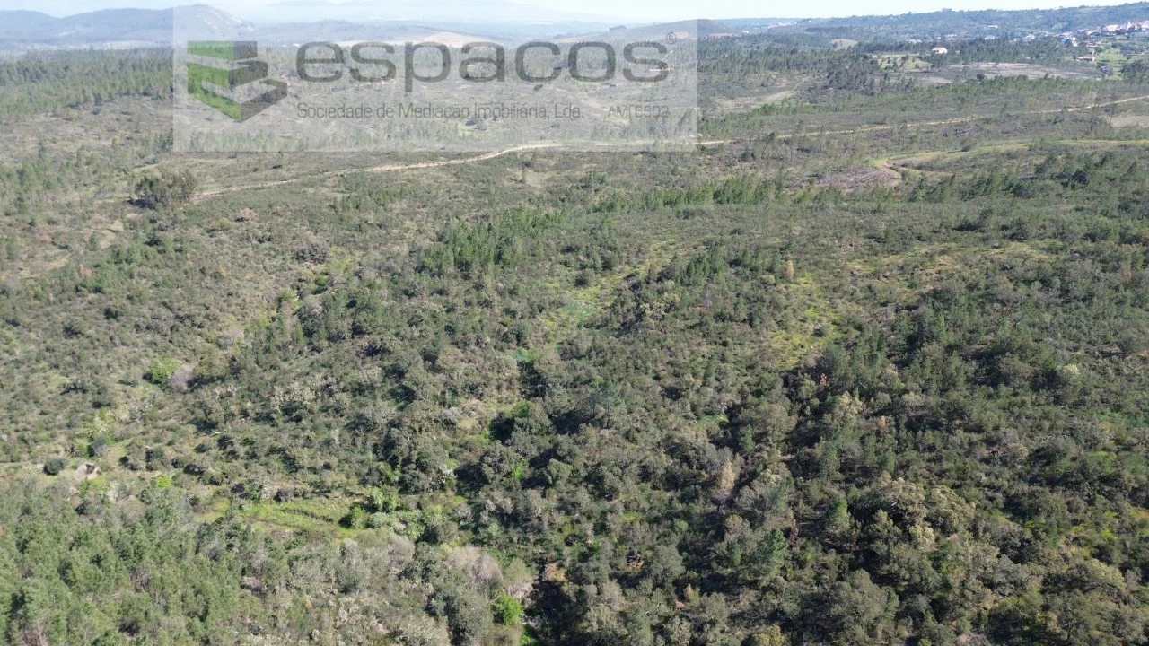 Terreno Agricola ou Rústico para Venda em Salgueiro do Campo Foto 2