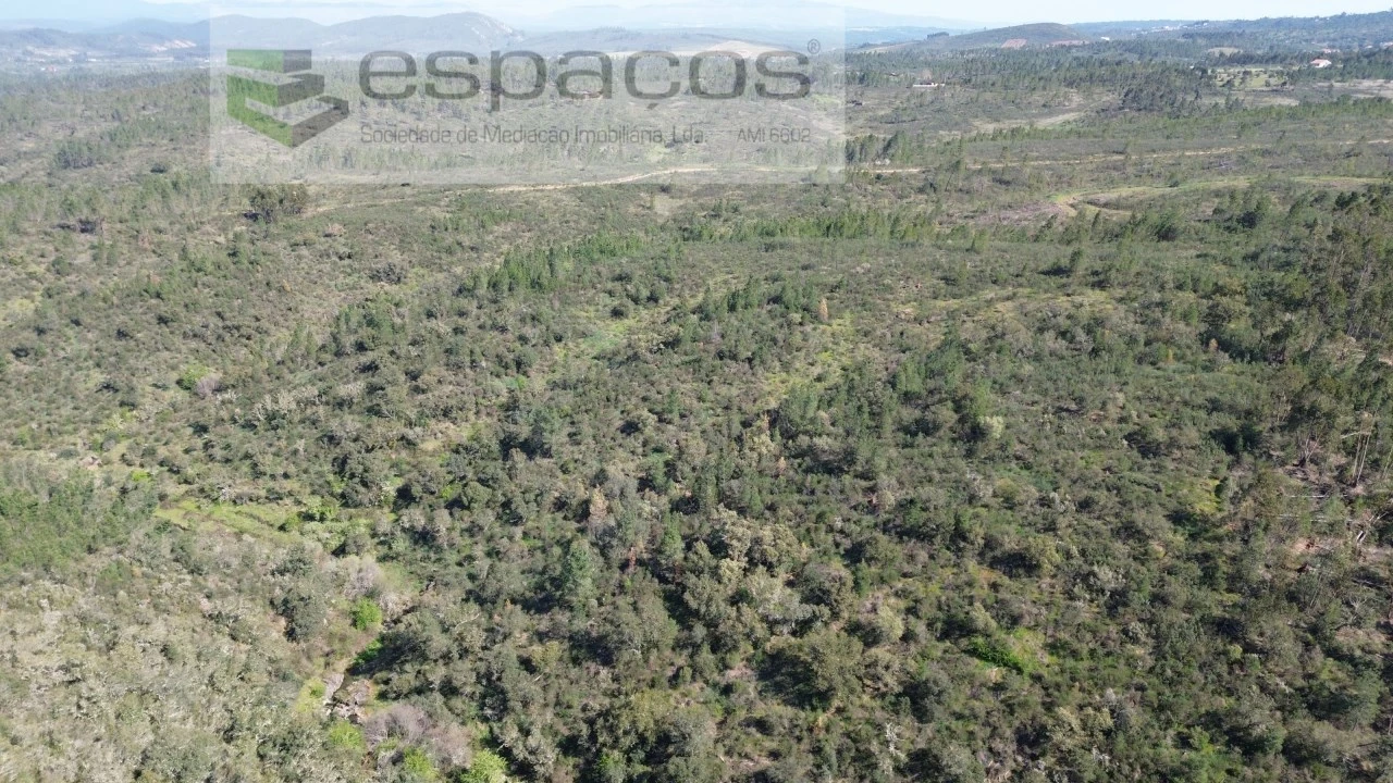 Terreno Agricola ou Rústico para Venda em Salgueiro do Campo Foto 3