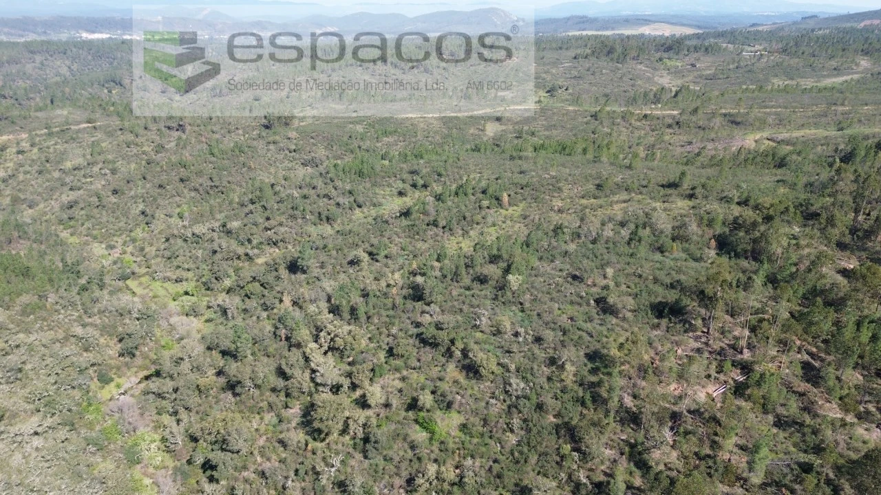 Terreno Agricola ou Rústico para Venda em Salgueiro do Campo Foto 6