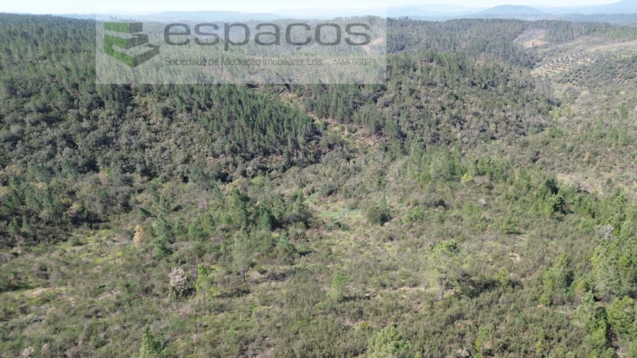 Terreno Agricola ou Rústico para Venda em Salgueiro do Campo Foto 4