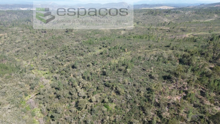 Terreno Agricola ou Rústico para Venda em Salgueiro do Campo Foto 6