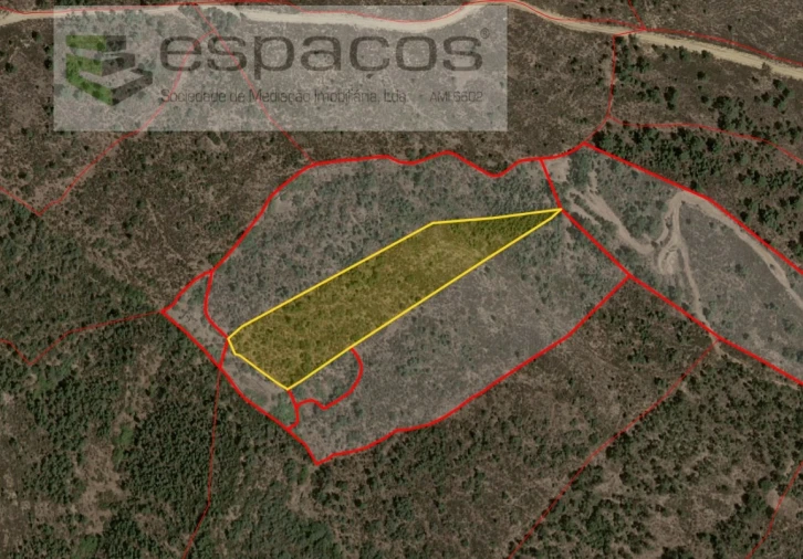 Terreno Agricola ou Rústico para Venda em Salgueiro do Campo Foto 7