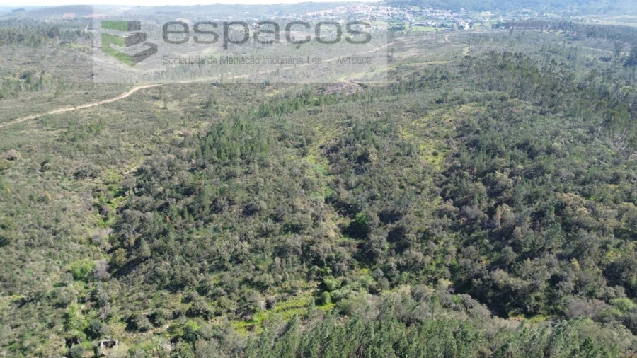 Terreno Agricola ou Rústico para Venda em Salgueiro do Campo