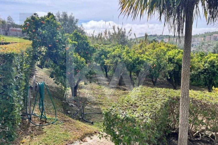 Moradia T5 para Venda em Vila Franca de Xira Foto 23
