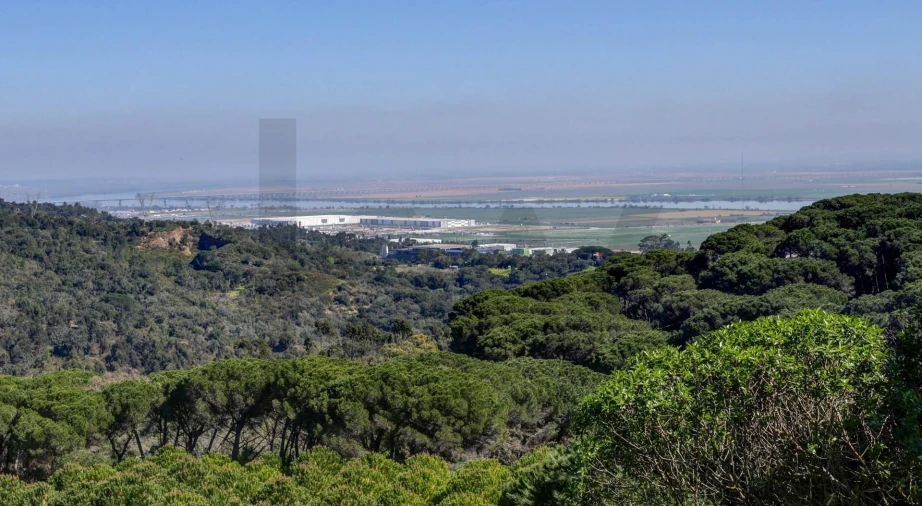 Quinta T13 para Venda em Vila Franca de Xira Foto 93