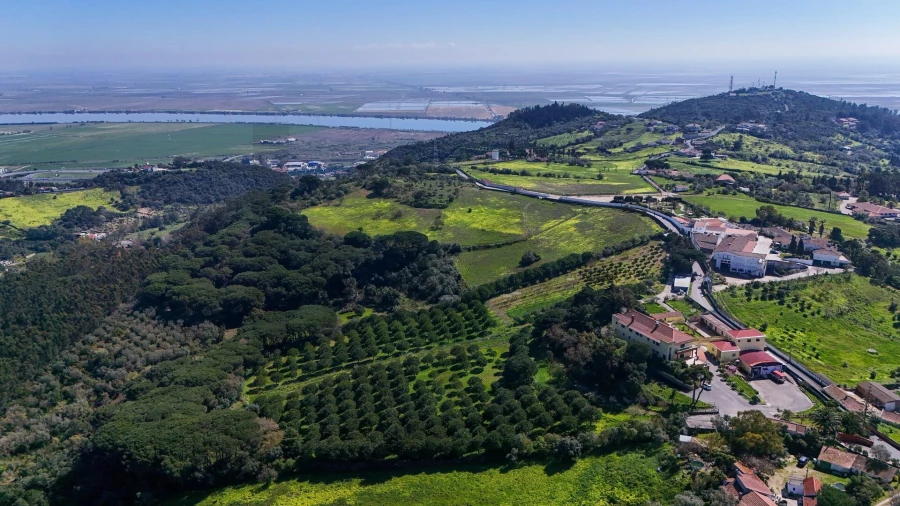 Quinta T13 para Venda em Vila Franca de Xira Foto 121