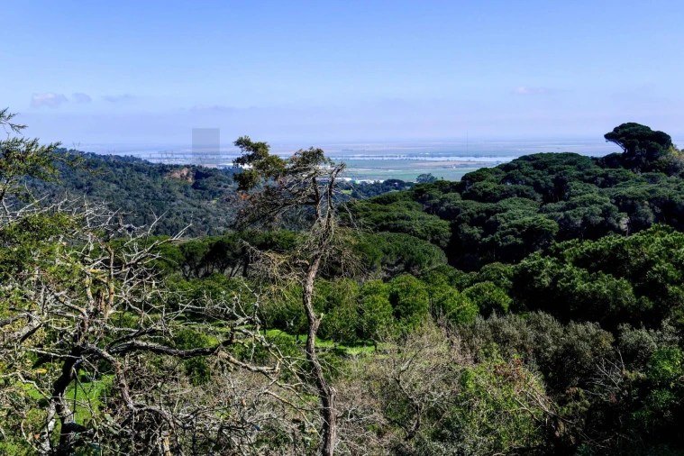 Quinta T13 para Venda em Vila Franca de Xira Foto 63