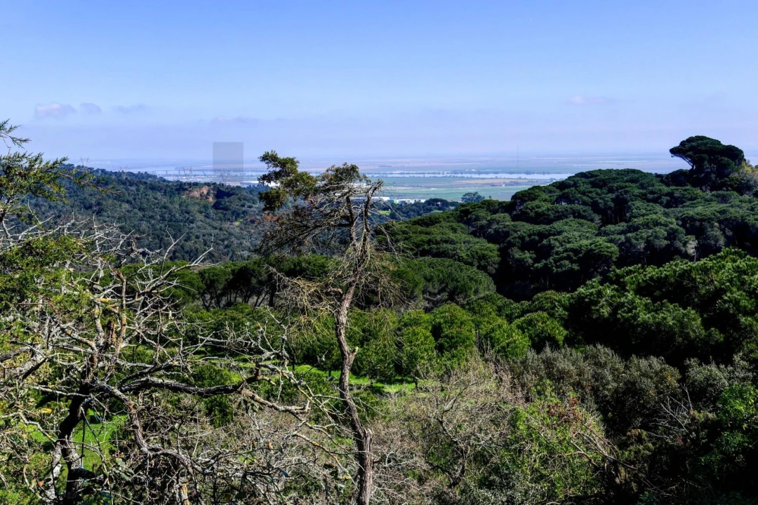Quinta T13 para Venda em Vila Franca de Xira Foto 63