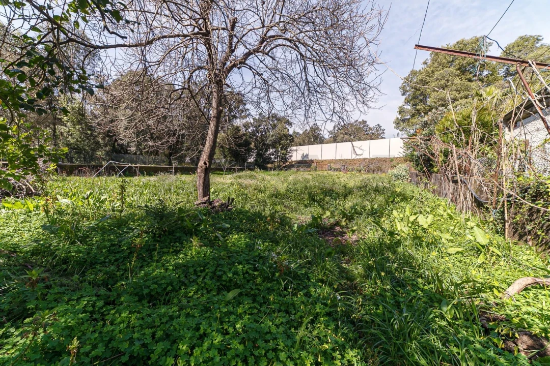 Moradia T3 para Venda em Santa Maria da Feira, Travanca, Sanfins e Espargo Foto 16