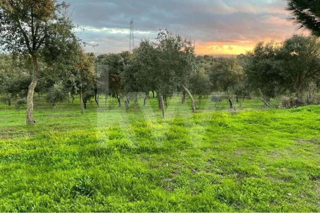 Terreno para Venda em Santiago do Cacém, Santa Cruz e São Bartolomeu da Serra Foto 6