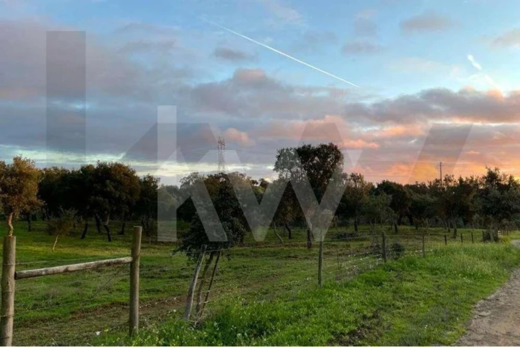 Terreno para Venda em Santiago do Cacém, Santa Cruz e São Bartolomeu da Serra Foto 8
