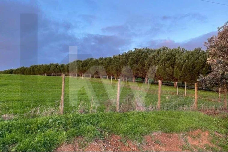 Terreno para Venda em Santiago do Cacém, Santa Cruz e São Bartolomeu da Serra Foto 11