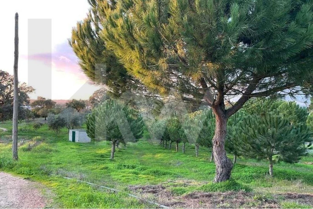 Terreno para Venda em Santiago do Cacém, Santa Cruz e São Bartolomeu da Serra Foto 7