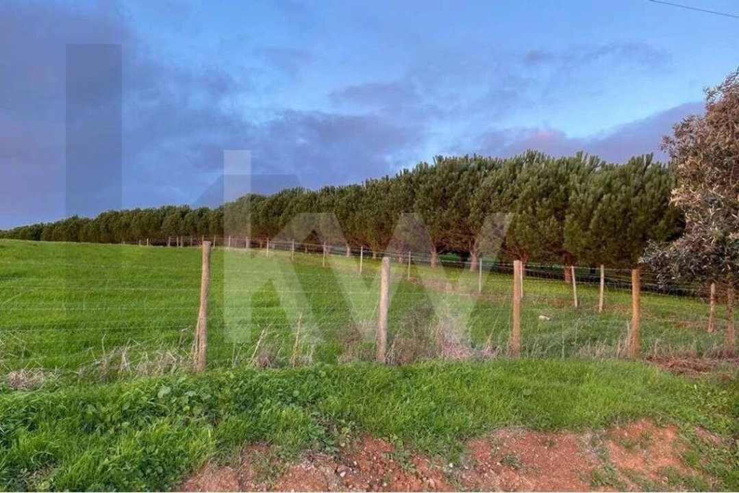 Terreno para Venda em Santiago do Cacém, Santa Cruz e São Bartolomeu da Serra Foto 11