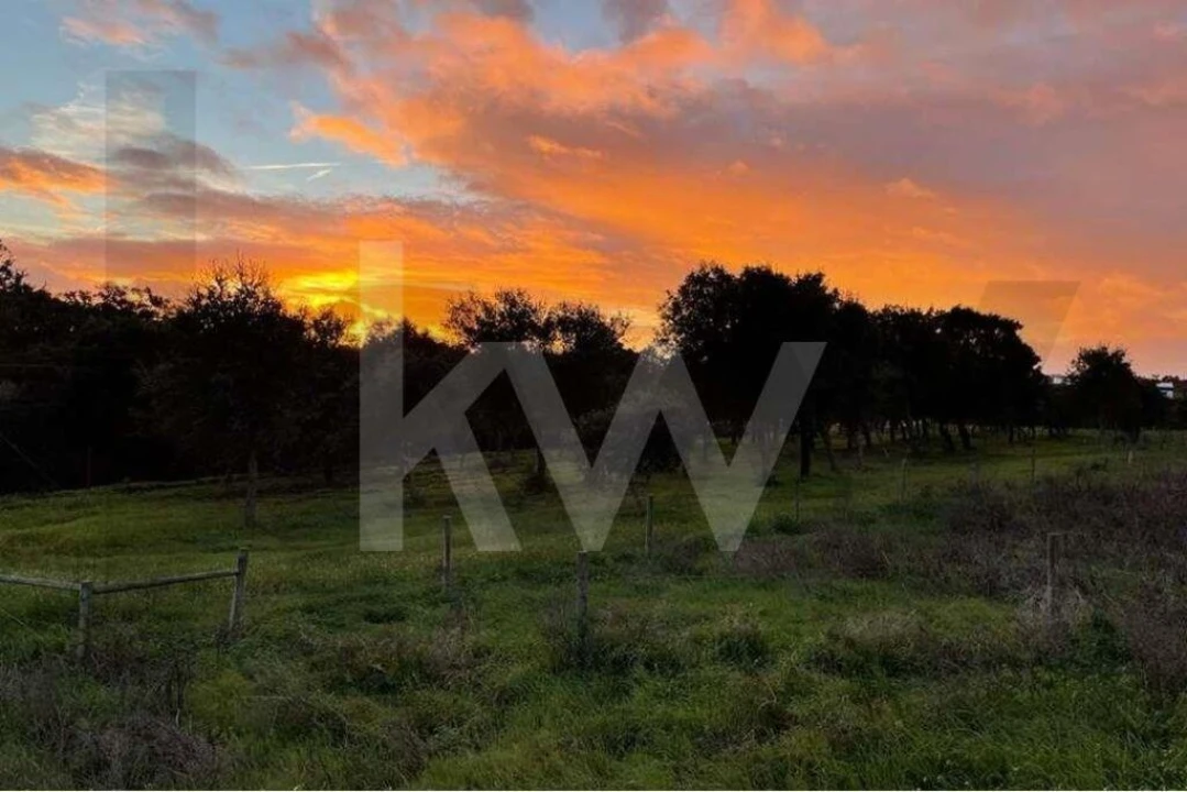 Terreno para Venda em Santiago do Cacém, Santa Cruz e São Bartolomeu da Serra Foto 2