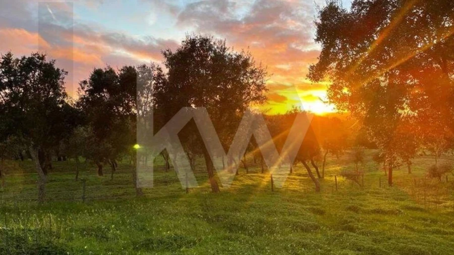 Terreno para Venda em Santiago do Cacém, Santa Cruz e São Bartolomeu da Serra