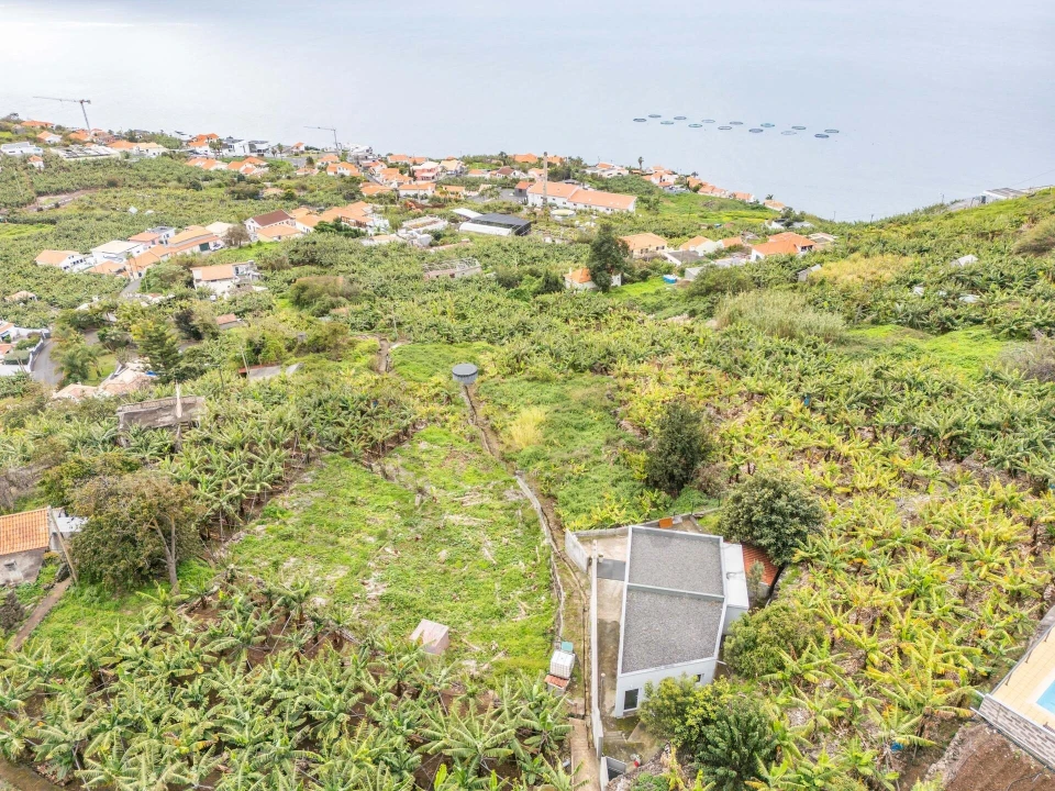 Terreno para Venda em Arco da Calheta Foto 5