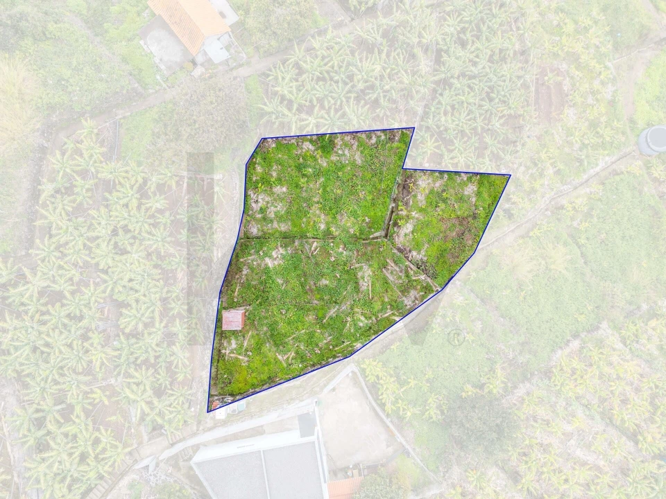 Terreno para Venda em Arco da Calheta Foto 1