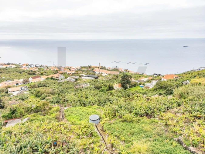 Terreno para Venda em Arco da Calheta Foto 18