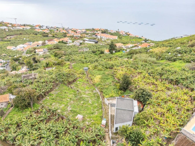 Terreno para Venda em Arco da Calheta Foto 5