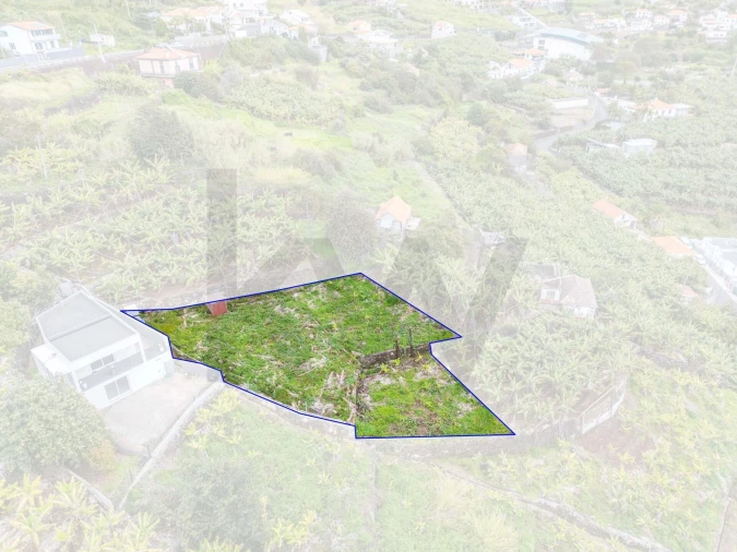 Terreno para Venda em Arco da Calheta Foto 11