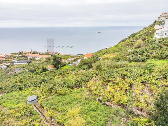 Terreno para Venda em Arco da Calheta Foto 14