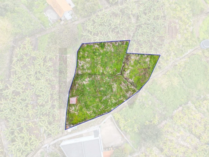 Terreno para Venda em Arco da Calheta Foto 1